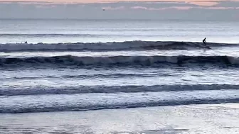 Clean/Small Florida Surfing January 6, 2022 7:20am