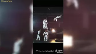 Martial Arts Highlights Compilation V1