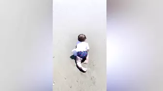 Top Funniest Babies Playing on The Beach || Big Daddy