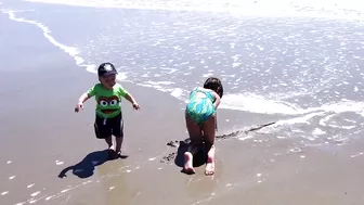 Top Funniest Babies Playing on The Beach || Big Daddy