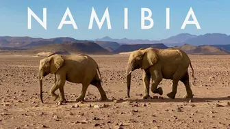 NAMIBIA | Surreal landscapes + iconic animals + powerful music