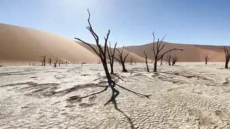 NAMIBIA | Surreal landscapes + iconic animals + powerful music