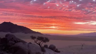 NAMIBIA | Surreal landscapes + iconic animals + powerful music