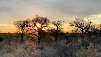 NAMIBIA | Surreal landscapes + iconic animals + powerful music