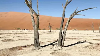 NAMIBIA | Surreal landscapes + iconic animals + powerful music