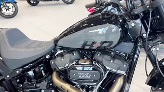 2022 Harley-Davidson Models