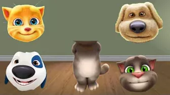 talking tom ginger hank ben dog funny comedy