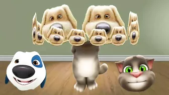 talking tom ginger hank ben dog funny comedy