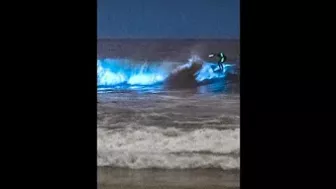 Unbelievable Bioluminescent Beach, California