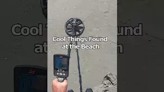 Cool things found at Beach #shorts