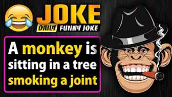 Funny joke ; A monkey is sitting in a tree, smoking a joint