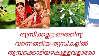 Malayalam songs|Guess the song|Picture riddles| Picture Challenge|part 2