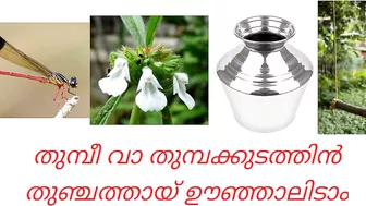 Malayalam songs|Guess the song|Picture riddles| Picture Challenge|part 2