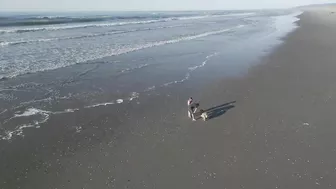 A day at the Beach