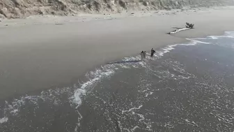 A day at the Beach