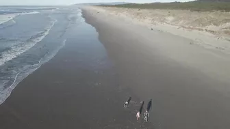 A day at the Beach