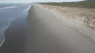 A day at the Beach