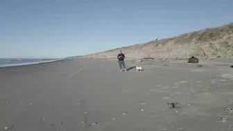 A day at the Beach