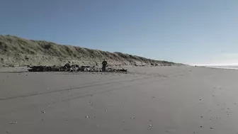 A day at the Beach