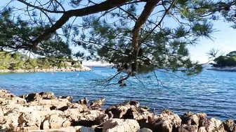 FKK NUDIST BEACH ZAKLOPNICA - ISLAND PASMAN, CROATIA ???? BEACH WALK 4K