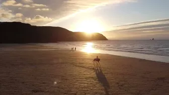 Horse Riding on the Beach at Sunset