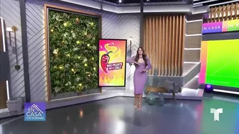 Andrea Meza presume cuerpazo en sexy bikini rojo | Más picante que el chile | Telemundo