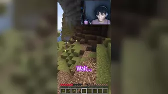 Minecraft, But I Can't Talk