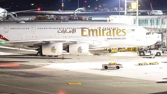 13 January, Gulf Countries Travel Update, Vaccine Facilities At Airport, UAE Travel Guidelines