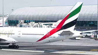 13 January, Gulf Countries Travel Update, Vaccine Facilities At Airport, UAE Travel Guidelines