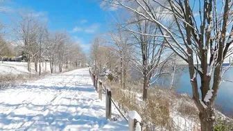 Canada Travel Drone Footage Ontario Lake Simcoe Barrie 4K