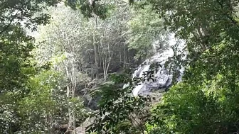 A Day In My Life | Travel Edition | Maredumilli | Amruthadara Waterfalls| Rajahmundry | English |