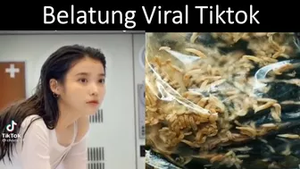 Belatung Viral Tiktok Video Goes Viral  | Viral Belatung Di Tiktok |  Viral Belatung Di Twitter