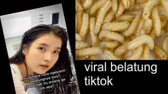 Viral Belatung Tiktok | Maggot Viral Video Explained | Belatung Tiktok Video Goes Viral | News Video