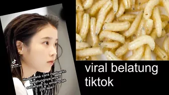 Viral Belatung Tiktok | Maggot Viral Video Explained | Belatung Tiktok Video Goes Viral | News Video