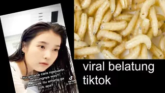 Viral Belatung Tiktok | Maggot Viral Video Explained | Belatung Tiktok Video Goes Viral | News Video