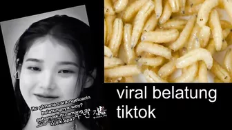 Viral Belatung Tiktok | Maggot Viral Video Explained | Belatung Tiktok Video Goes Viral | News Video