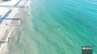 Concerns over shark fishing at popular WA beach just months after fatal attack |ABC News