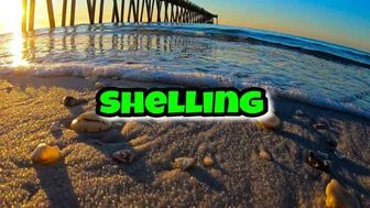 VIRTUAL SHELLING The Navarre Beach Pier