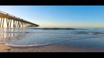 VIRTUAL SHELLING The Navarre Beach Pier