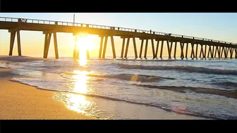 VIRTUAL SHELLING The Navarre Beach Pier