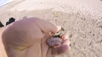 TSUNAMI FROM TONGA REACHS CALIFORNIA WHILE METAL DETECTING AT THE BEACH