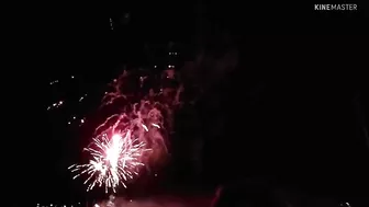 New Year’s Fireworks Display - Late Post #newyear #newyear2022 #fireworksdisplay #travel