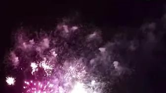 New Year’s Fireworks Display - Late Post #newyear #newyear2022 #fireworksdisplay #travel