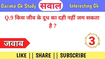 Top 10 Funny Gk Questions in Hindi || Interesting Gk || General Knowledge in Hindi