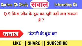 Top 10 Funny Gk Questions in Hindi || Interesting Gk || General Knowledge in Hindi