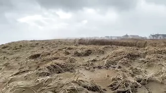 Storm waves at Hampton beach, New Hampshire today