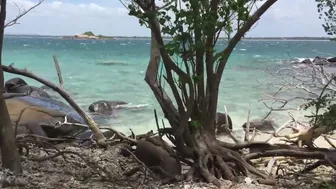 Trincomalee  pigeon Island and beach   - Doctor Jeevani Hasantha