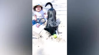 Funny Baby Playing on The Beach Moments || Dogs Story