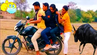 Must Watch New Amazing Special Funny Video 2022 ???? Best Amazing Funny 2022 By Real Funny Dhamaka