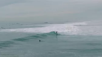 EPIC CONDITIONS | Blacks Beach Surf | San Diego CA (1.12.2022)